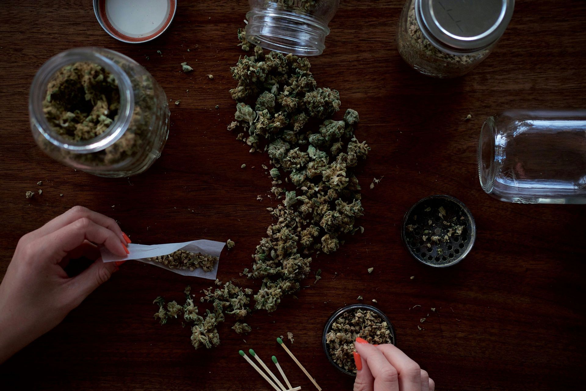 Marijuana as a holy herb in Ital(Image by Wesley Gibbs/Unsplash)